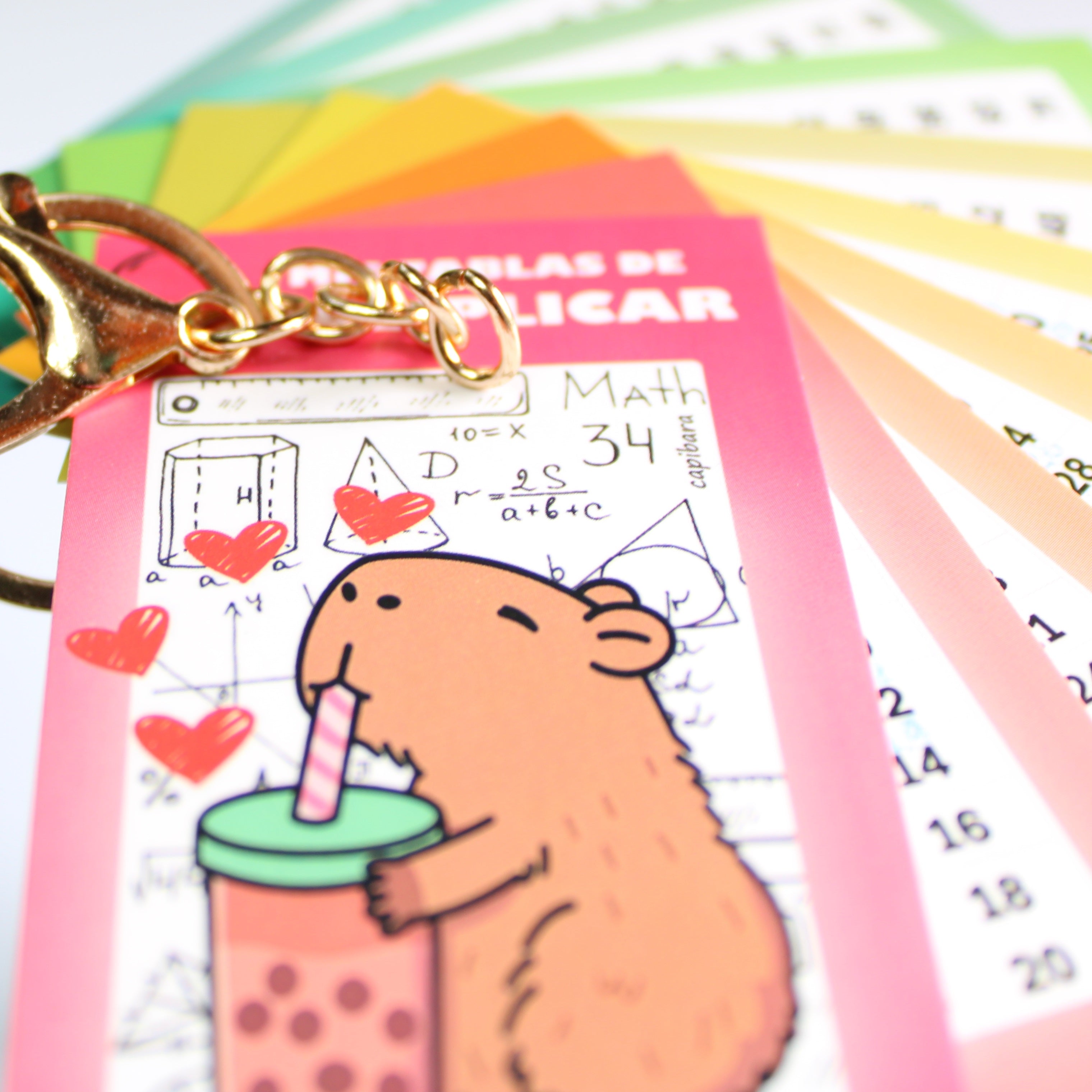 Tabla Multiplicar Llavero Didactico Indispensable Dino Educación Primaria Capibara